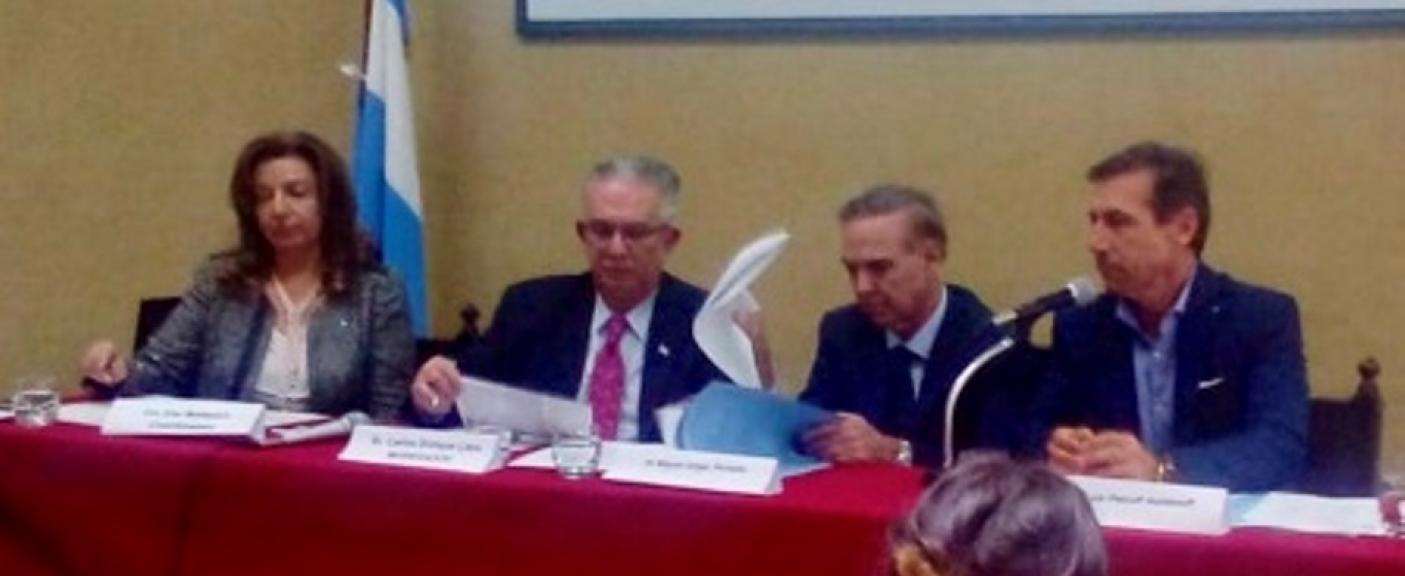 Etel Mattesich, Carlos Llera, Miguel Ángel Pichetto y Luis Carlos Petcoff Naidenoff.