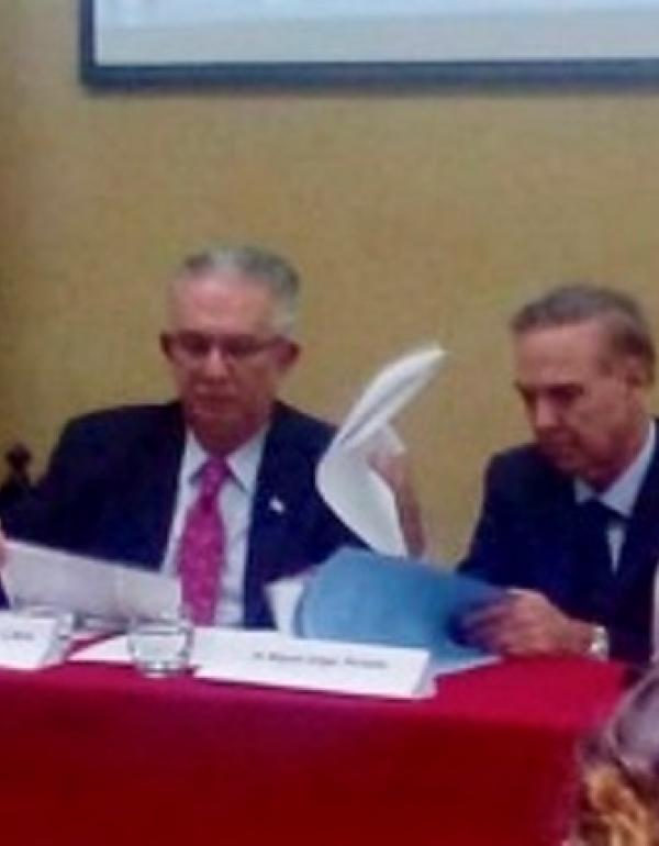Etel Mattesich, Carlos Llera, Miguel Ángel Pichetto y Luis Carlos Petcoff Naidenoff.