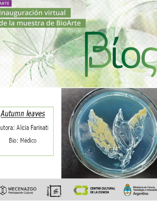 Autumn leaves - Autora: Alicia Farinati - Bio: Médico