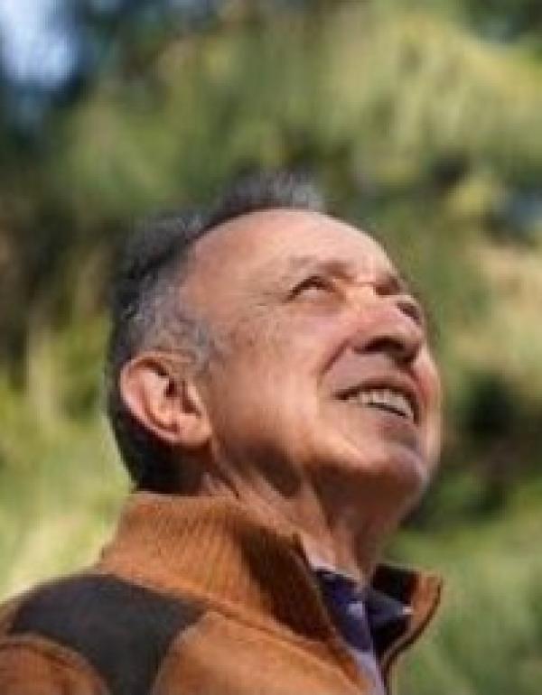 Gustavo G. De Simone