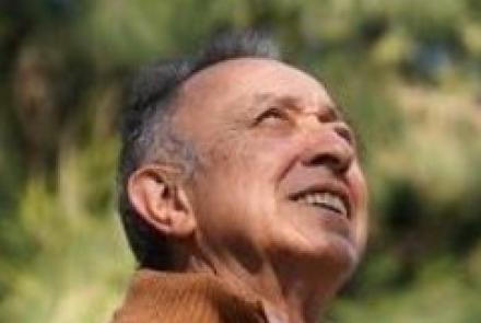 Gustavo G. De Simone